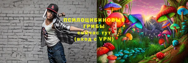 ПСИЛОЦИБИНОВЫЕ ГРИБЫ Армянск