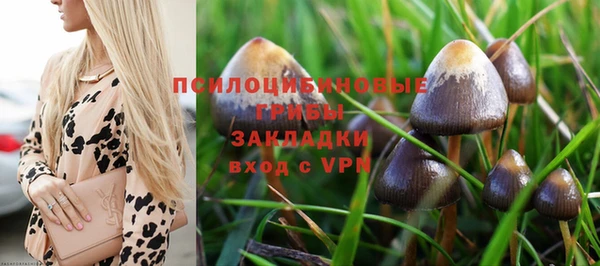 ПСИЛОЦИБИНОВЫЕ ГРИБЫ Армянск
