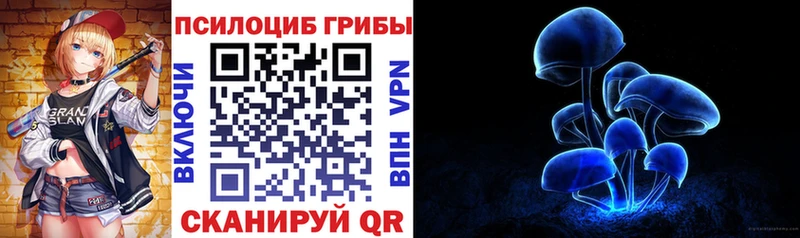 Псилоцибиновые грибы Cubensis  закладка  Белёв 